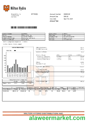 Canada Milton Hydro electricitybusiness utility bill Word and PDF formats